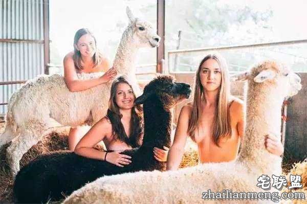 澳洲女大学生集体拍全裸年历 竟是为给农民募捐