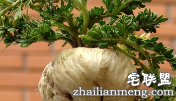 想泡妞就赶紧来看看什么食物有催情作用