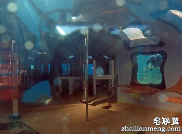 男子潜入海底发现奇怪建筑，凑近一看让他兴奋不已！