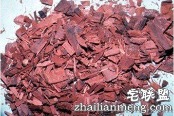 想泡妞就赶紧来看看什么食物有催情作用