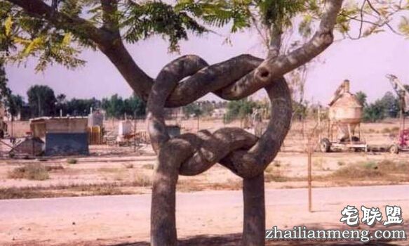 一时之间让你无法想透的莫名其妙的照片