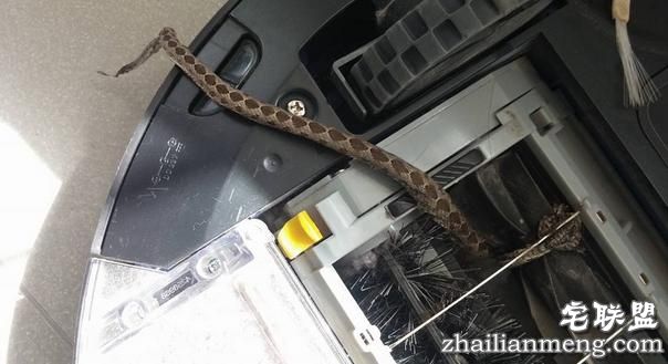男子准备清洗自己的扫地机器人，没想到拆开一看差点被吓出心脏病