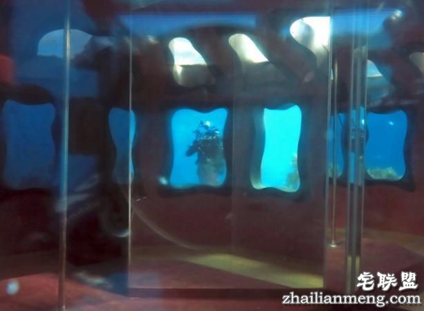 男子潜入海底发现奇怪建筑，凑近一看让他兴奋不已！