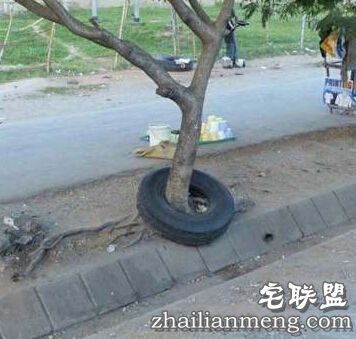 一时之间让你无法想透的莫名其妙的照片