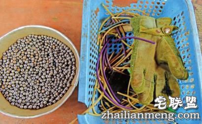 主办方提供的弹珠和皮筋。