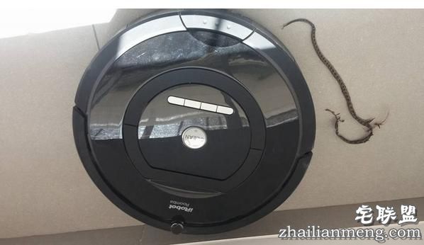 男子准备清洗自己的扫地机器人，没想到拆开一看差点被吓出心脏病
