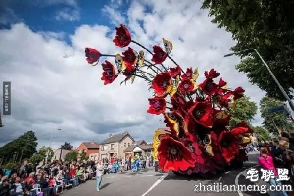 你一定没见过这么霸气的花，震惊全世界！