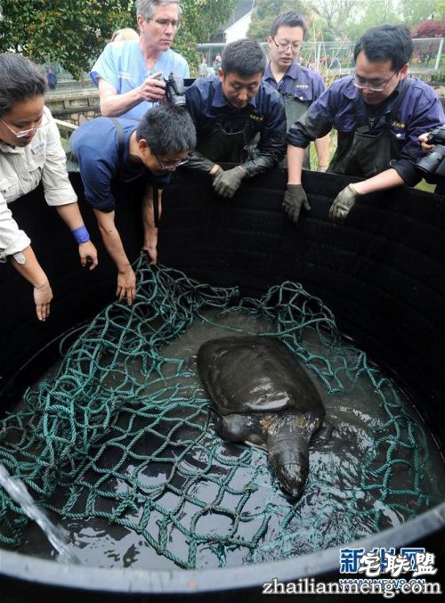 b1875379903b3e8_w663_h899