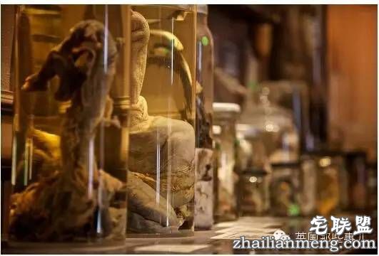 全世界第一个丁丁博物馆，全都是实打实的真货&hellip;