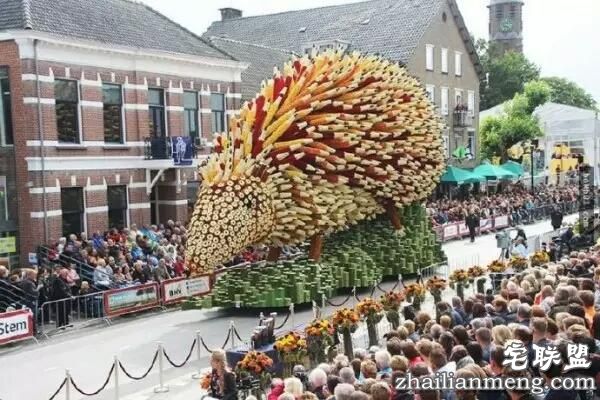 你一定没见过这么霸气的花，震惊全世界！