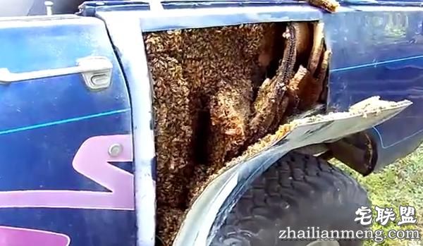 他撬开很久没开的车，结果眼前的一幕令人头皮发麻！