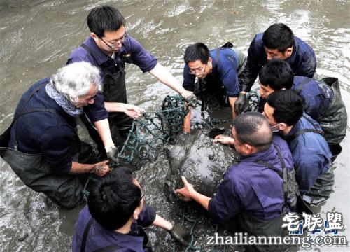 8a4651e67d19dea_w900_h649