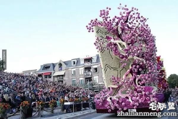 你一定没见过这么霸气的花，震惊全世界！