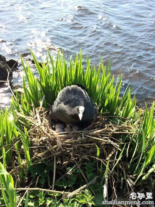 男子每天花30分钟清理河畔垃圾，结局真是让我们想不到啊！