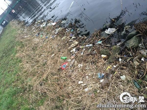 男子每天花30分钟清理河畔垃圾，结局真是让我们想不到啊！