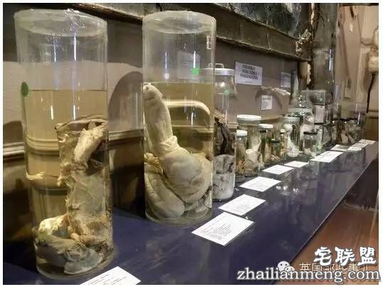 全世界第一个丁丁博物馆，全都是实打实的真货&hellip;