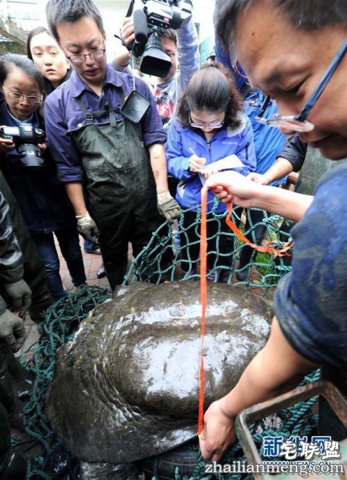 5c0939e67ac1c18_w650_h900