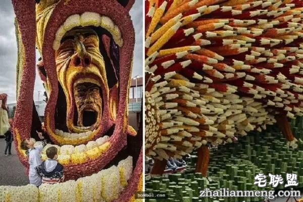 你一定没见过这么霸气的花，震惊全世界！