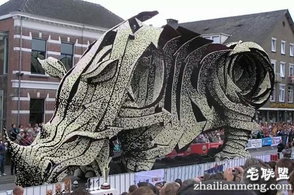 你一定没见过这么霸气的花，震惊全世界！