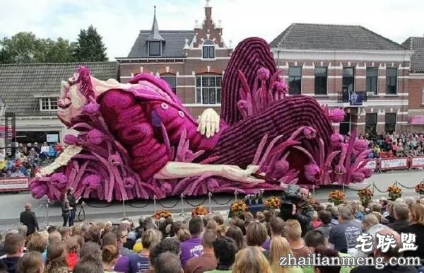 你一定没见过这么霸气的花，震惊全世界！