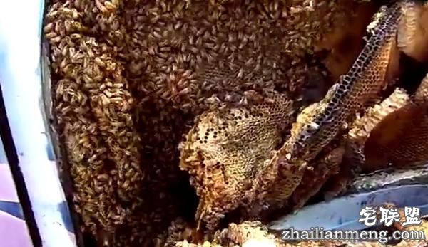 他撬开很久没开的车，结果眼前的一幕令人头皮发麻！