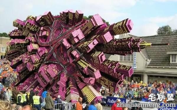 你一定没见过这么霸气的花，震惊全世界！