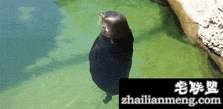 朋友圈段子精选，看了简直笑的停不下来