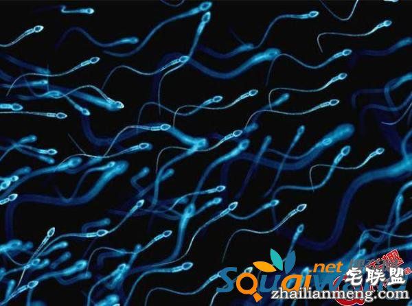 关于性的一些冷知识！精液可以治疗抑郁？