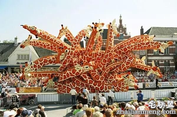 你一定没见过这么霸气的花，震惊全世界！