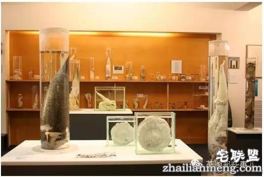 全世界第一个丁丁博物馆，全都是实打实的真货&hellip;