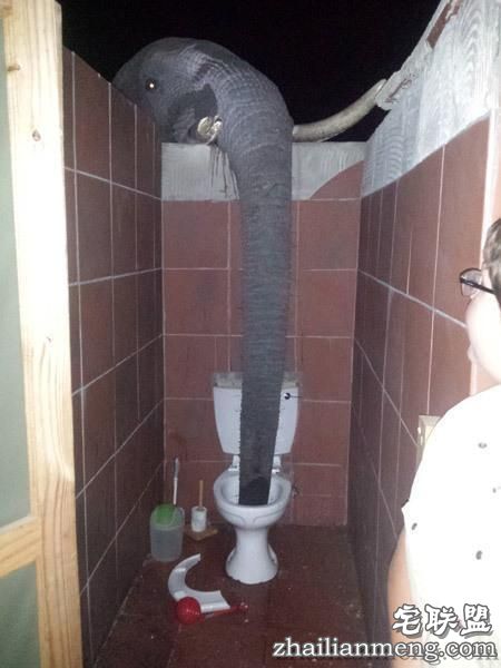 大象都跑到人家来偷水喝了，这个地方到底有多缺水？