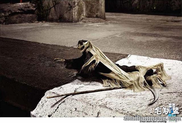 世界各国禁烟广告大联播