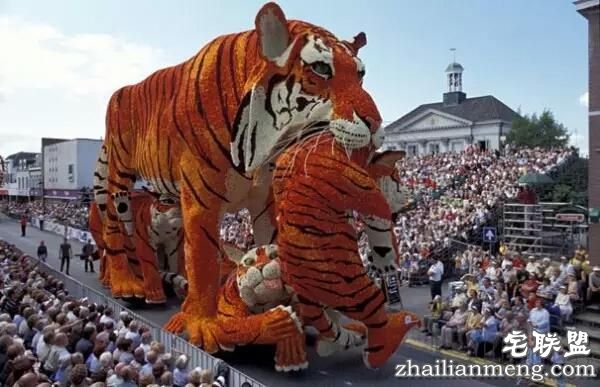 你一定没见过这么霸气的花，震惊全世界！