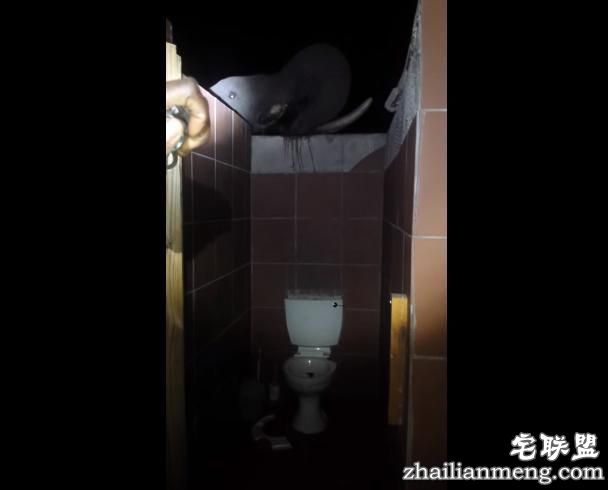 大象都跑到人家来偷水喝了，这个地方到底有多缺水？