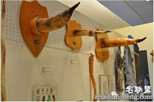 全世界第一个丁丁博物馆，全都是实打实的真货&hellip;