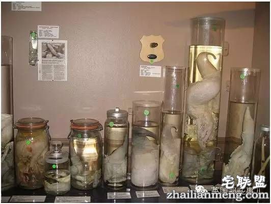 全世界第一个丁丁博物馆，全都是实打实的真货&hellip;