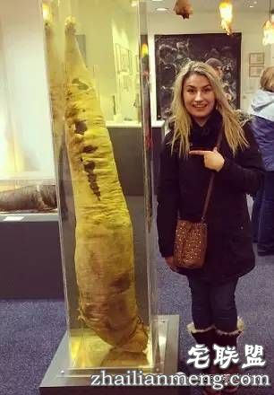 全世界第一个丁丁博物馆，全都是实打实的真货&hellip;