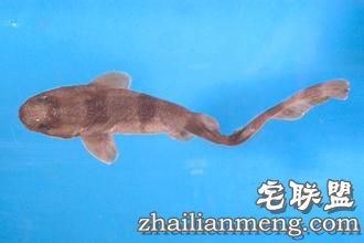 542E14B5332D6AC62F825E5F3E304E28