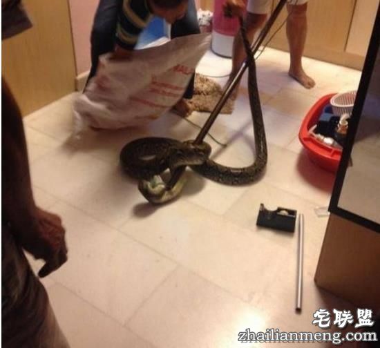 男子晚上下班回家洗澡，没想到下一秒竟然在厕所被差点吓个半死