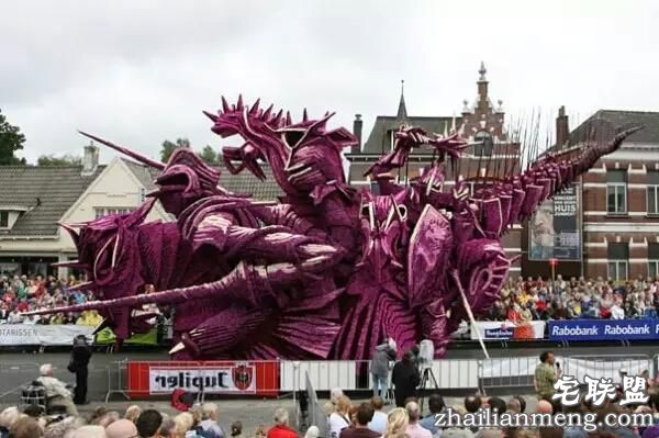 你一定没见过这么霸气的花，震惊全世界！