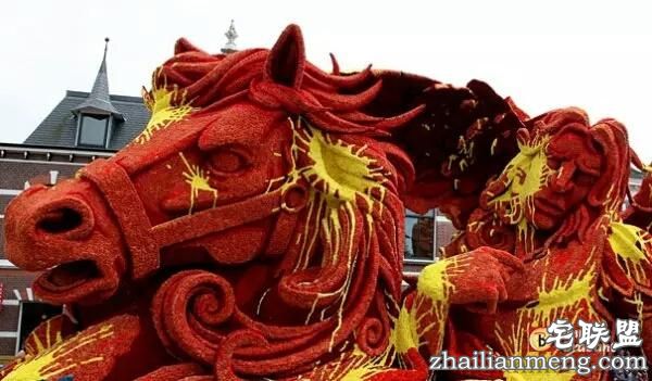 你一定没见过这么霸气的花，震惊全世界！