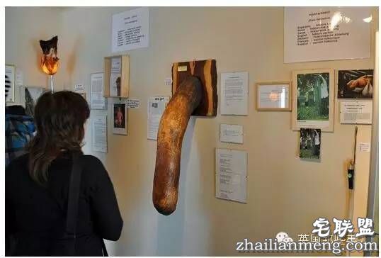 全世界第一个丁丁博物馆，全都是实打实的真货&hellip;