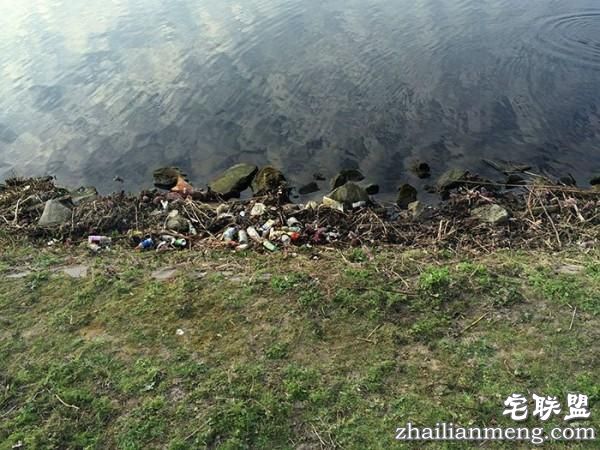 男子每天花30分钟清理河畔垃圾，结局真是让我们想不到啊！