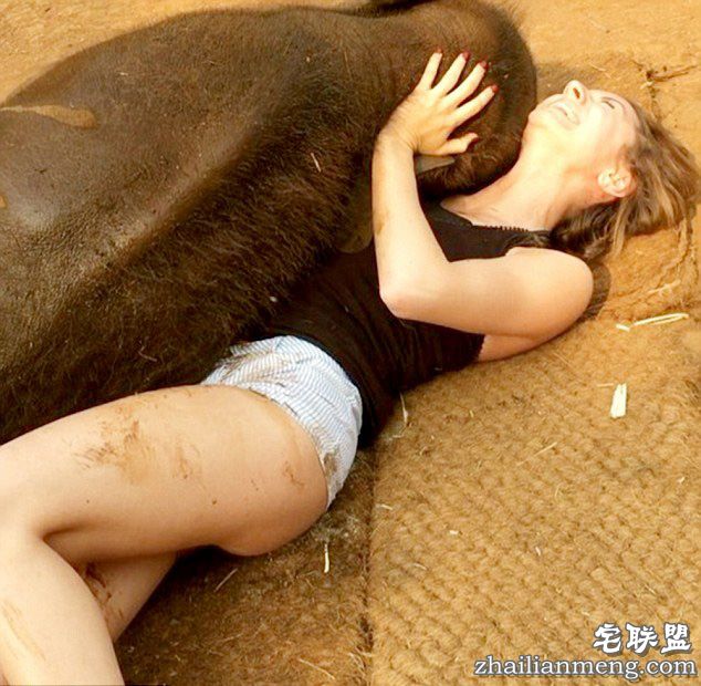 泰国小象爱与游客“零距离接触”