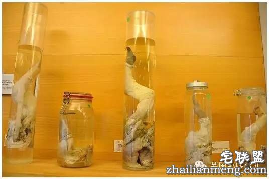 全世界第一个丁丁博物馆，全都是实打实的真货&hellip;