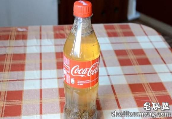男子实验“将牛奶倒进可乐里”，下一秒的变化让我再也不敢喝可乐
