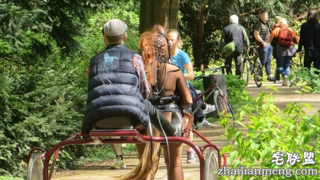 德国女子竟扮成马拉车，男子端坐驾驭她！