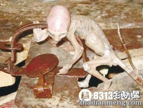 揭开关于墨西哥外星人宝宝之谜！