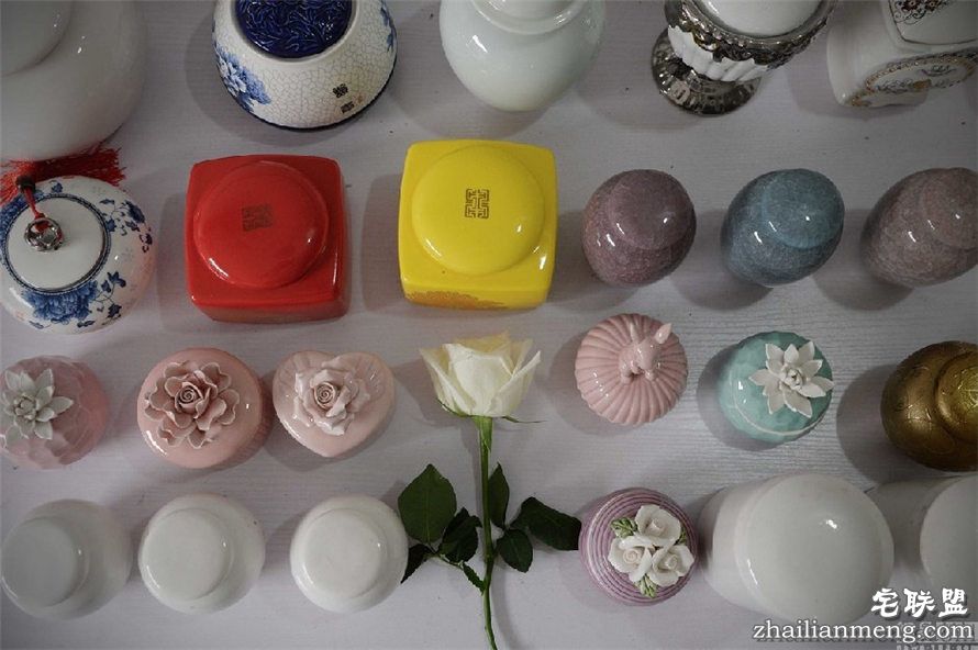 上海现宠物狗最豪华葬礼 百万豪车送行