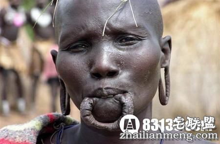 揭秘!懒族衣来伸手,饭来张口!我承认我见识少！